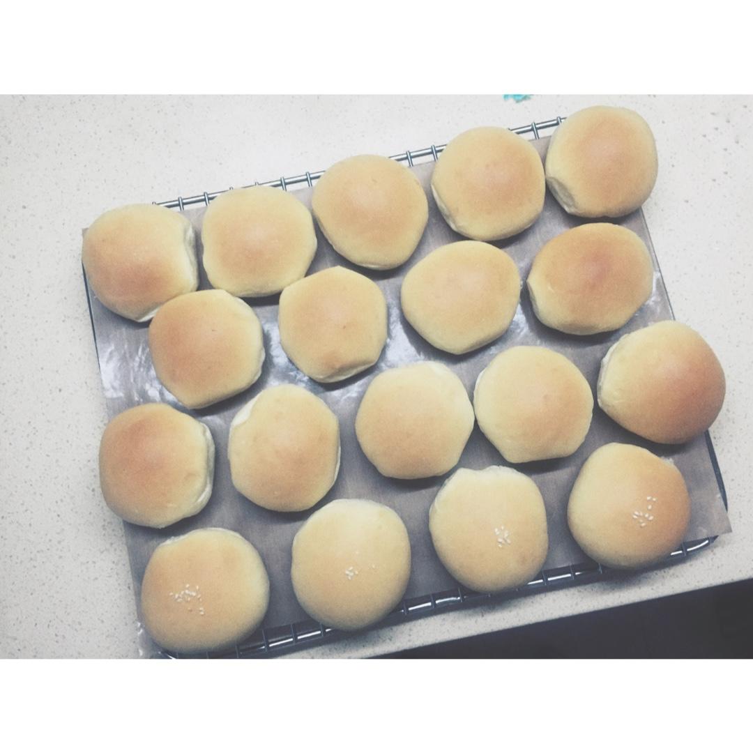 一次发酵——超级无敌懒人快手椰蓉小餐包