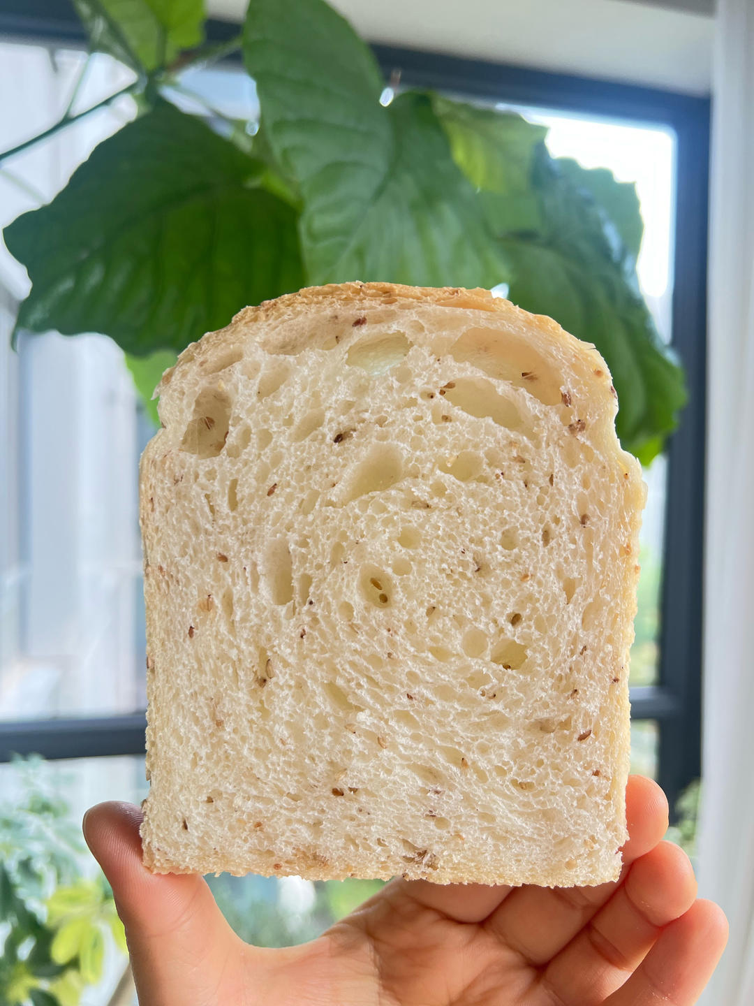 英式脆皮吐司｜无糖低油