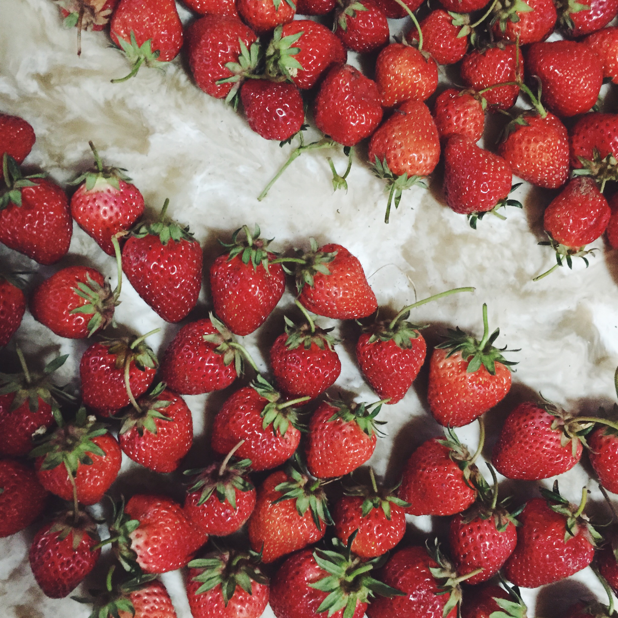 今冬第一颗草莓