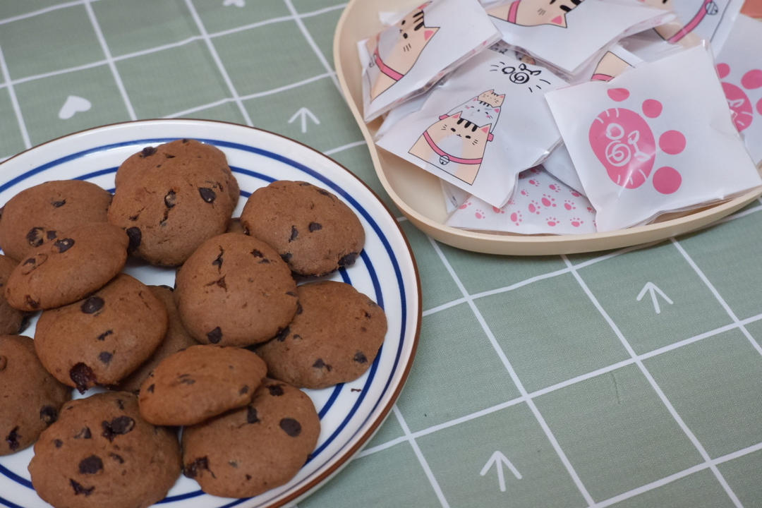 PH大师的巧克力饼干（趣多多）