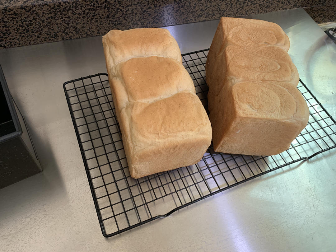 波兰种全麦吐司