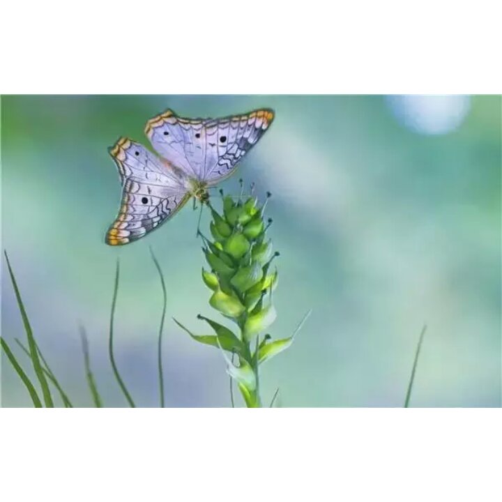 手机用户0423_o0jn