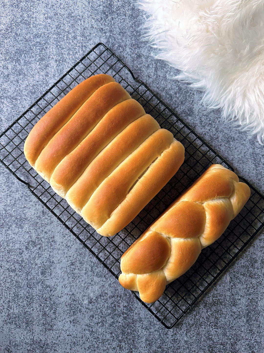 奶酪软排包