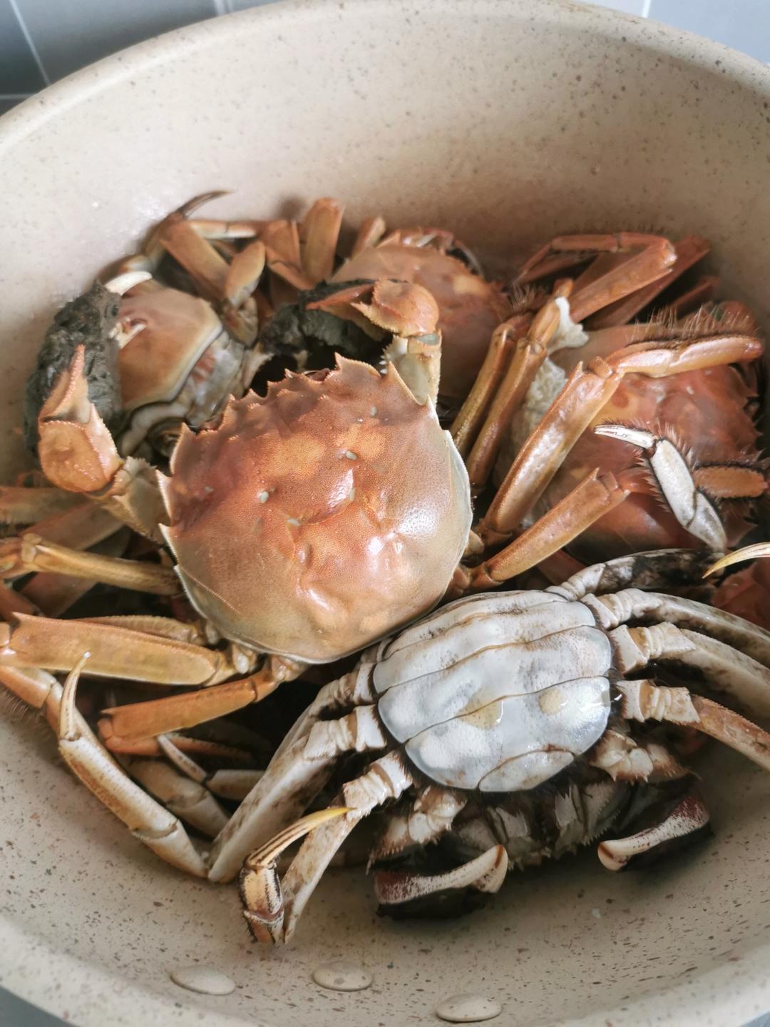 大闸蟹这样做不寒！超香！超好吃！香煎蟹!