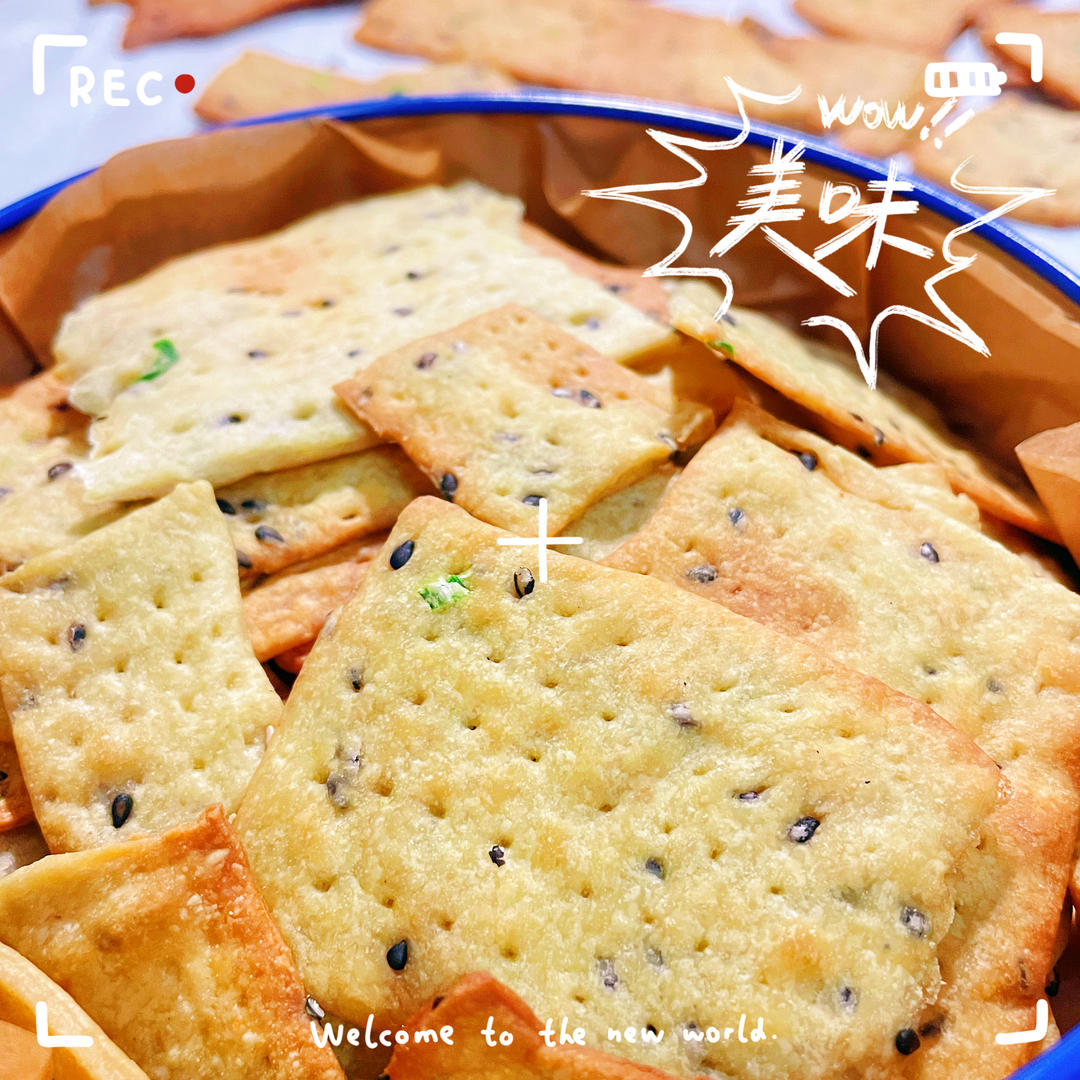 无糖葱香梳打饼干