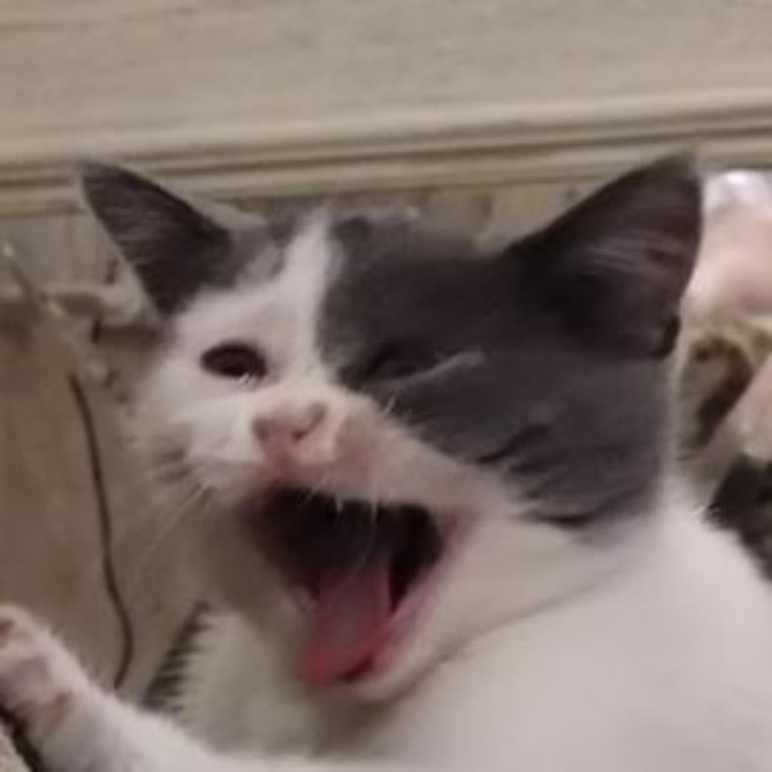 随便做做xx