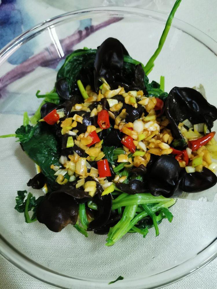 ✅第24道低卡减脂菜✨清脆爽口的凉拌菠菜木耳🌿