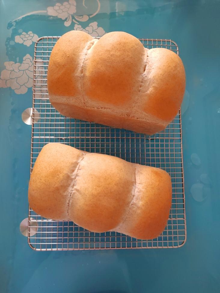 全麦吐司（50%全麦）