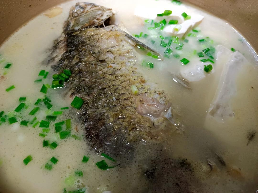 奶白鲫鱼豆腐汤|一条鱼最后的温柔