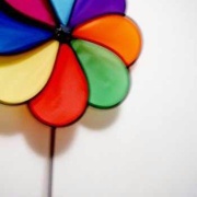 一只没有梦想的杨