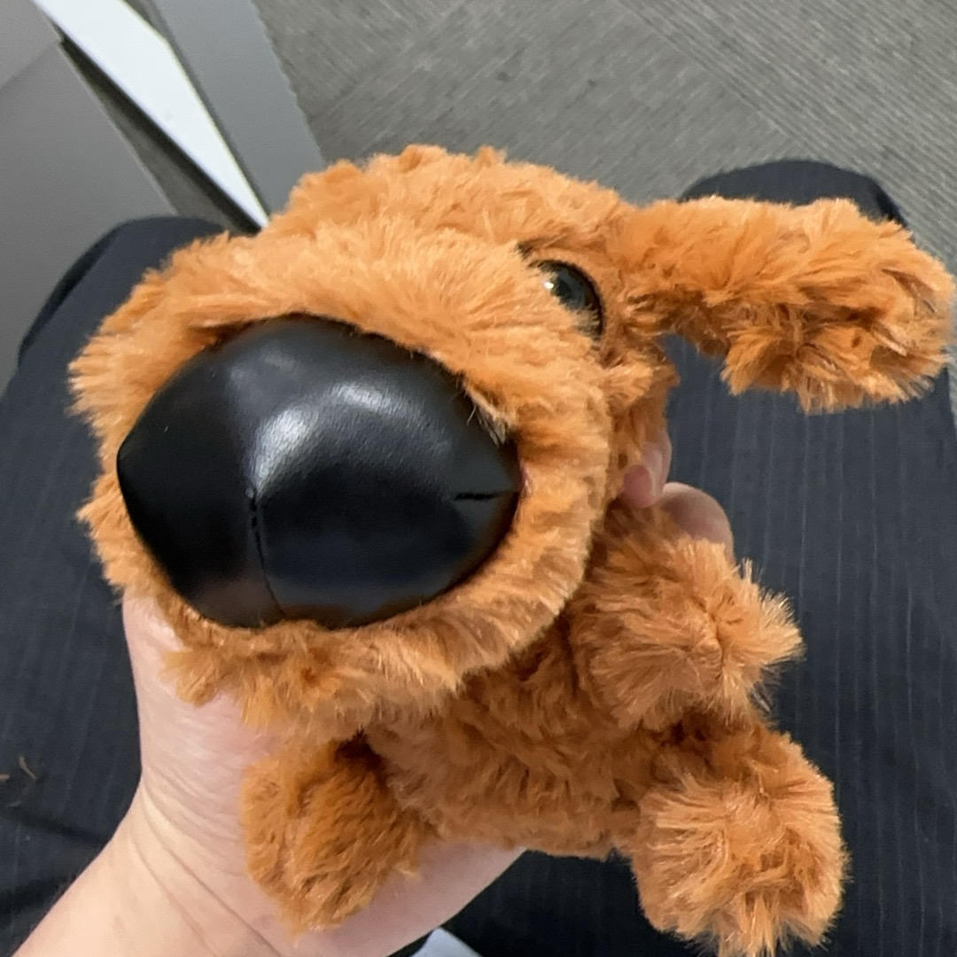 乖乖妮子爱吃肉