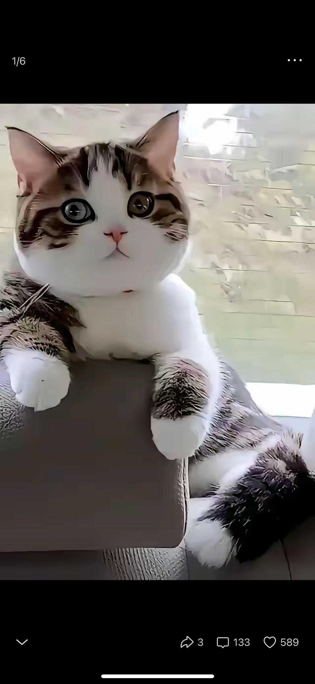 Tintiin
