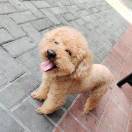 手机用户6965_3okm