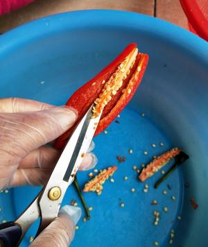 家常自制辣椒酱（花生版）的做法 步骤3