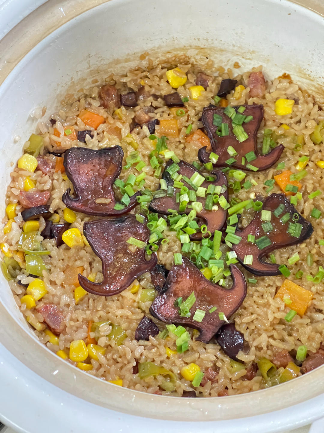 牛肝菌焖饭(云南味道)