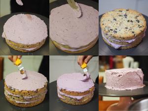 奥利奥蓝莓奶油蛋糕的做法 步骤15