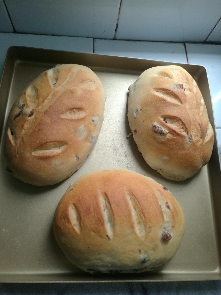 波兰种全麦吐司