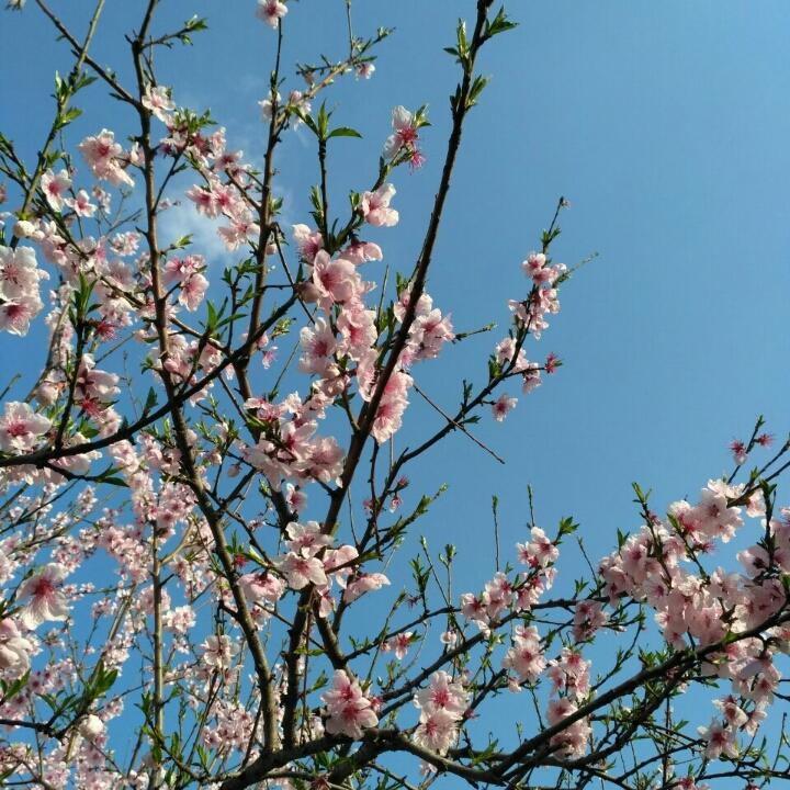 大家一起来学习