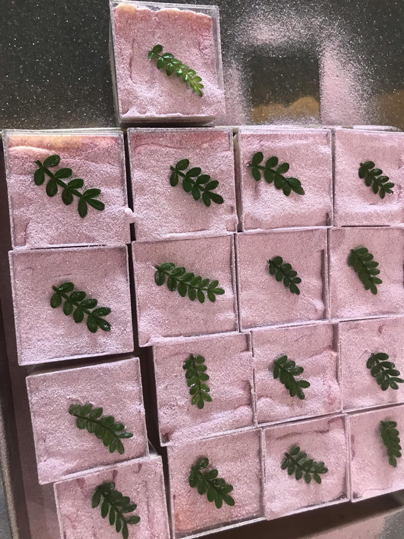 🥥椰香紫芋提拉米苏，超多芋泥，梦幻般的紫色，味道绝绝子😋