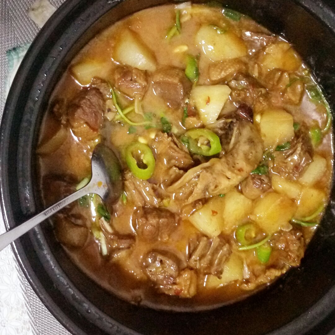 沙漠里的鱼_rys0做的板鸭萝卜煲