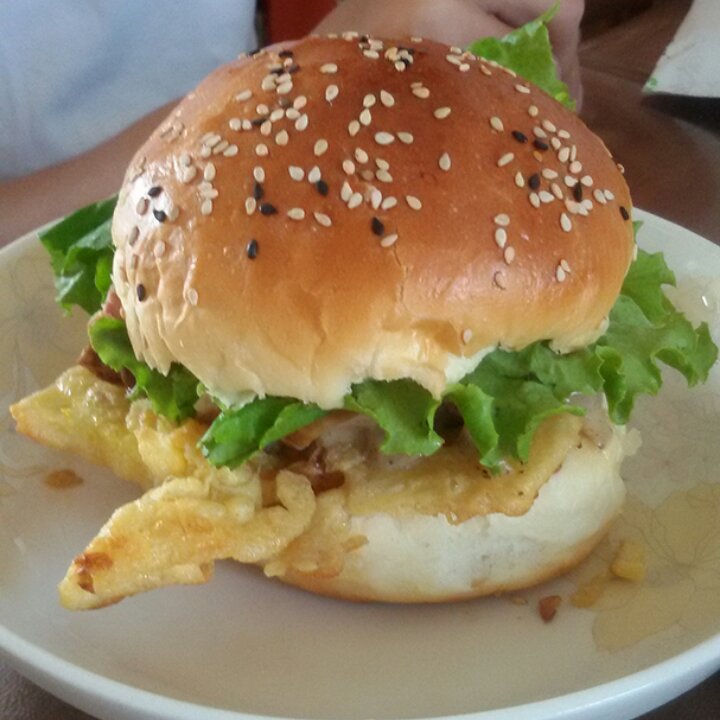 汉堡胚（中种法）