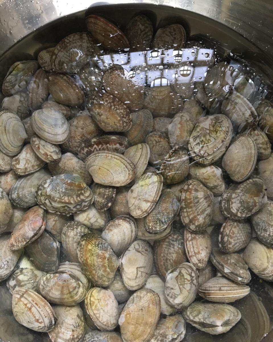 赛过大排档的爆炒花蛤