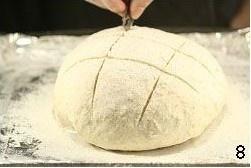 全麦粗粮面包的做法 步骤8