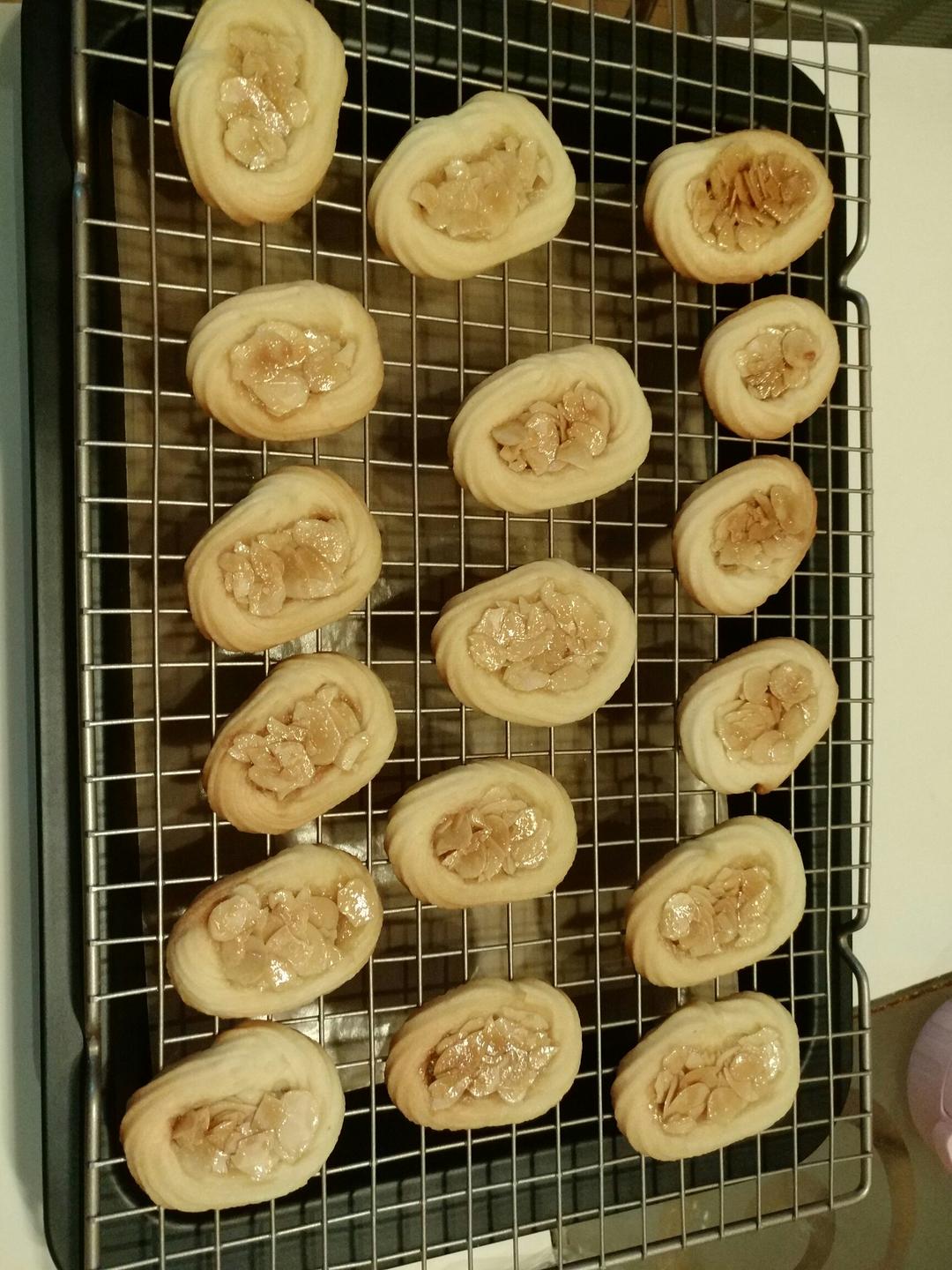罗马盾牌