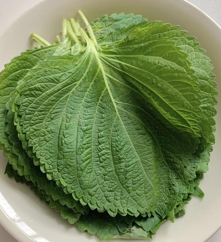 凉拌紫苏的做法