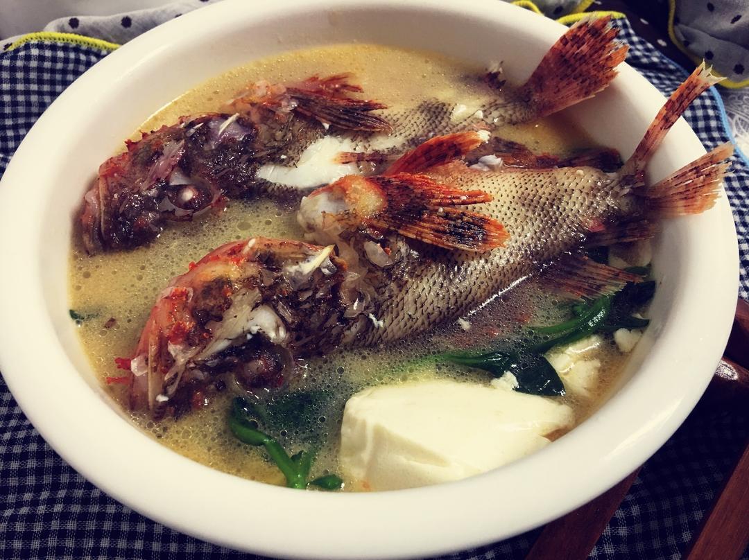 西红格鱼熬豆腐汤,起锅前少许脆脆口感的野菠菜,鲜美的鱼汤! #晚餐2