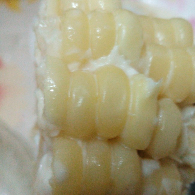 肯基基香甜玉米棒