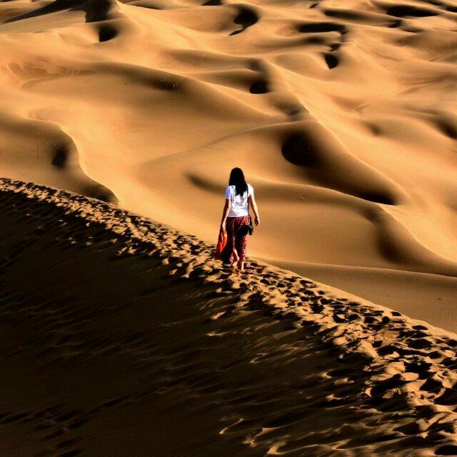 手机用户8229_un1g