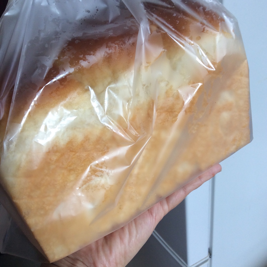 蛋白炼乳吐司~天然酵种(波兰种)