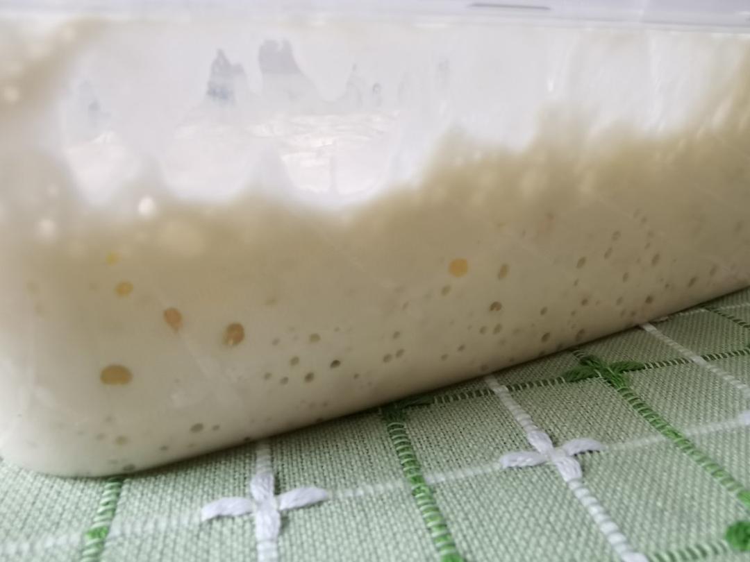 玩转各种“种”面团——中种，波兰种，烫种，汤种，65度汤种，70%冷藏中种