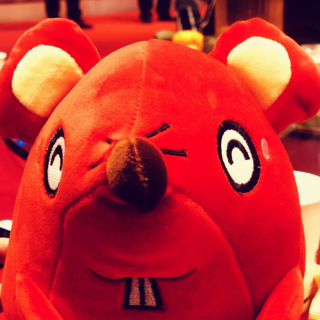 小白成长记之等等等