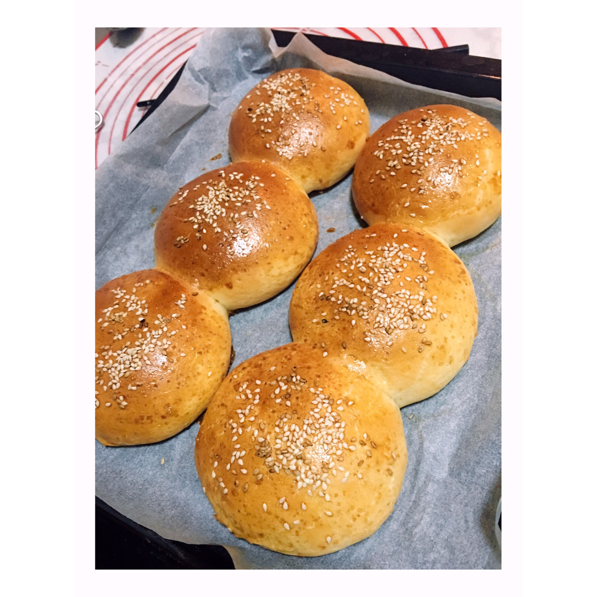 汉堡胚（中种法）