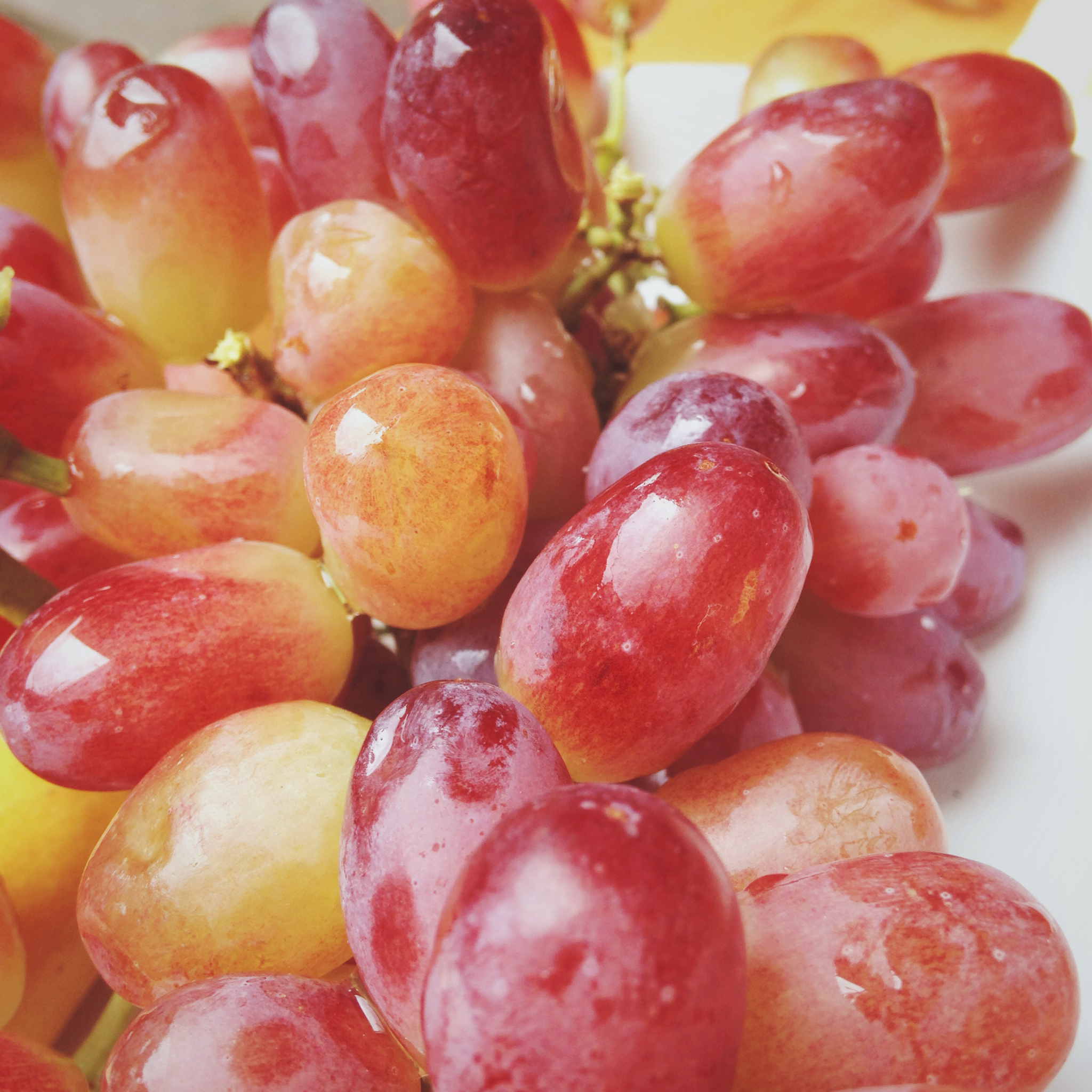 我有问你意见吗做的冰冻提子