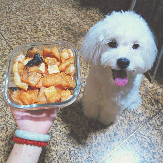 宠物烤三文鱼干「狗狗零食」的做法