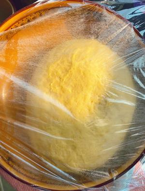 椰蓉麻花小面包厨房小白也可以做出面包店的口感的做法 步骤3