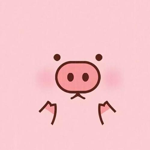 猪博士和猪夫人