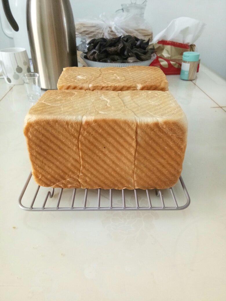 吐司面包（中种）