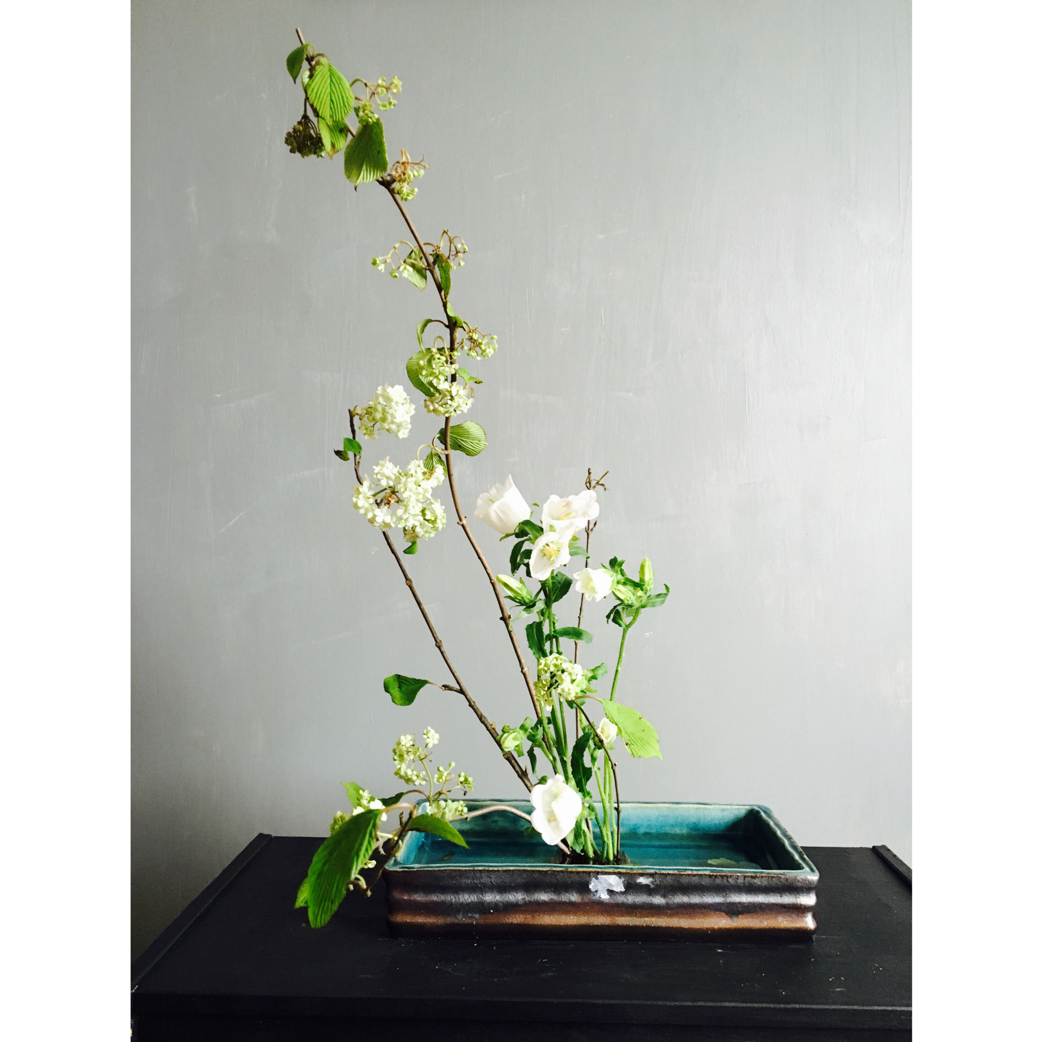 晚餐•2016年4月24日