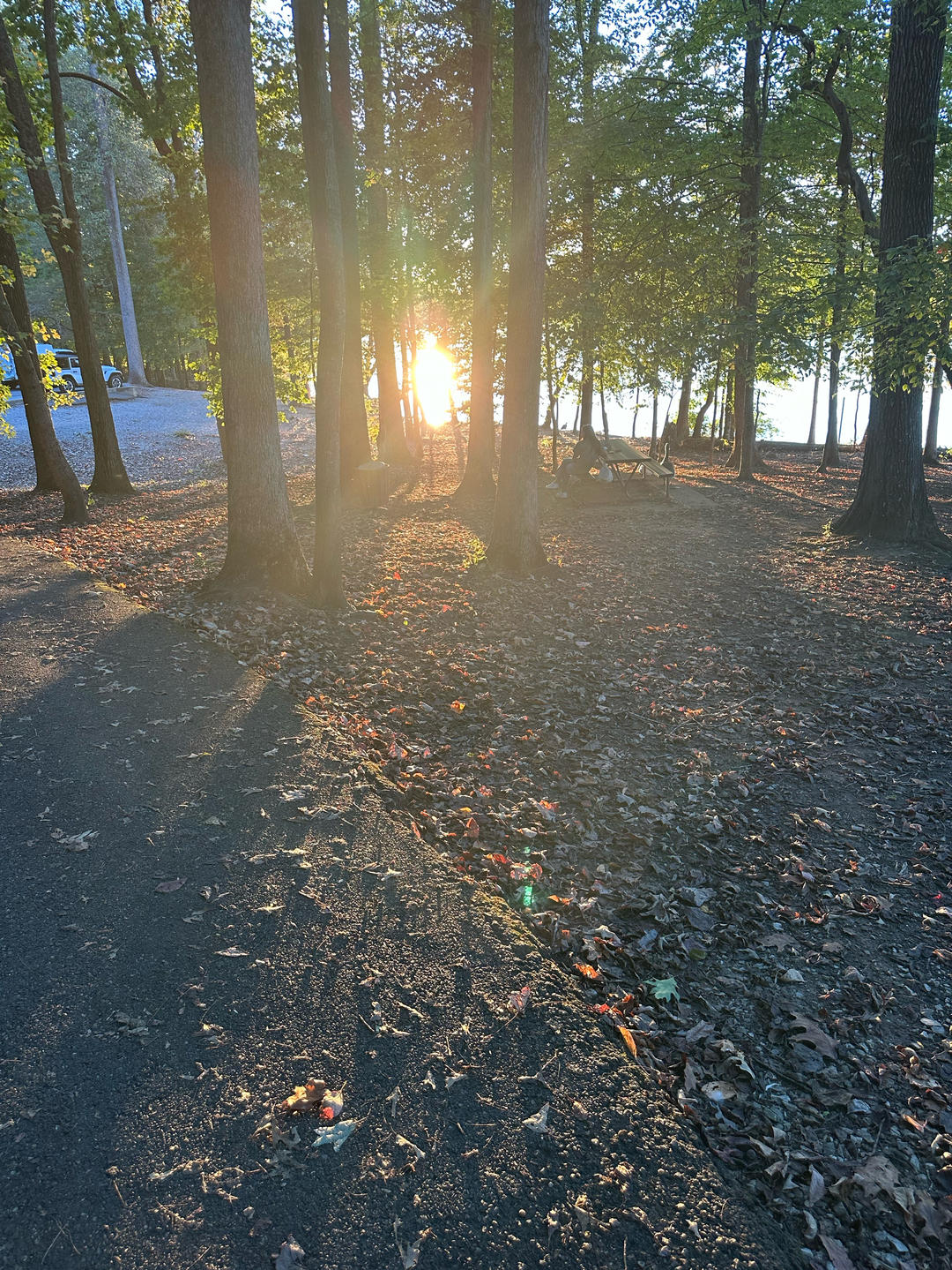 喜欢做饭的某某