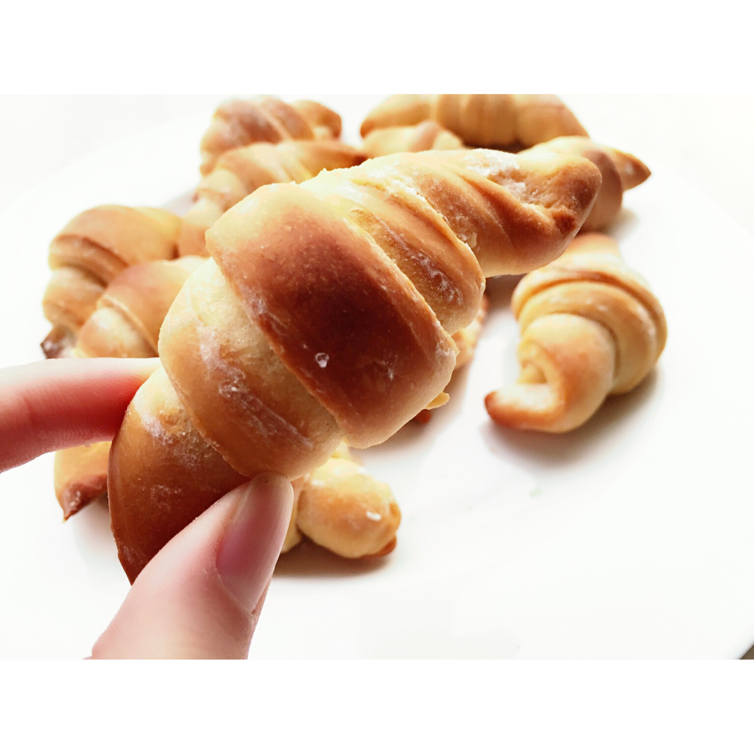 老式油酥面包 Yusu Bread