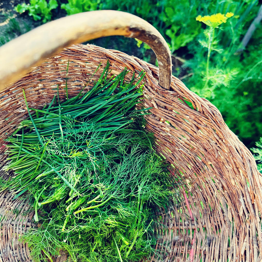 五仁妈妈小厨房