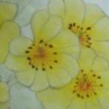 棉花糖棍