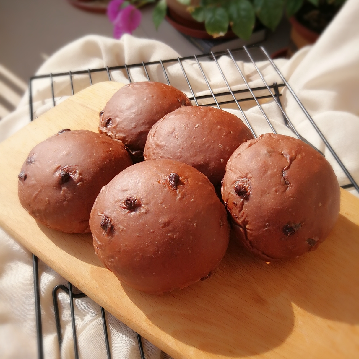 巧克力豆豆面包（波兰种）的做法