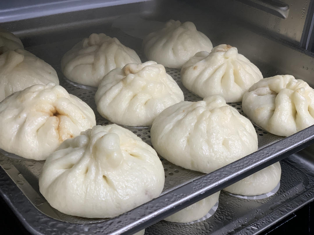 一次发酵肉包子