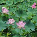 手机用户2709_erwp