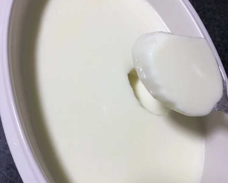 用酸奶机做酸奶